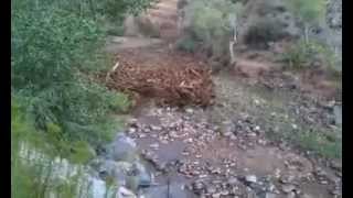 Flash Flood Beginning Near Virgin Utah amp Zion National Park [upl. by Saleme799]