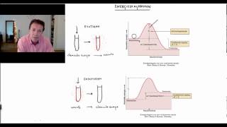 Energiediagrammen  Scheikundelessennl [upl. by Anuaf261]
