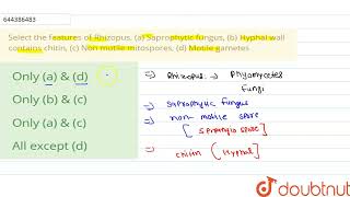 Select the features of Rhizopus\n \na Saprophytic fungus \n b Hyphal wall contains chitin [upl. by Yeclehc564]