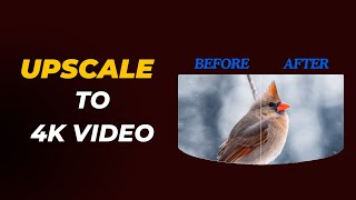 How to Enhance VideoImage Quality in Once Click AI Video Enhancer  Giveaway [upl. by Seabury]