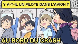 IL NY A PAS DE PILOTE DANS LAVION Histoire animée [upl. by Eidur162]