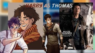 HP Characters React to Harry Potter as Thomas The Maze Runner 13  slight Newtmas [upl. by Clance46]