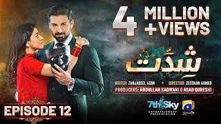 Shiddat Episode 12 Eng Sub  Muneeb Butt  Anmol Baloch  19th March 2024  HAR PAL GEO [upl. by Anastas]