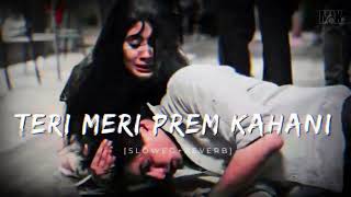 Teri Meri Prem Kahani  SlowedReverb  MixLofiMusic06tseries IndianSlowedAndReverb [upl. by Heyes]