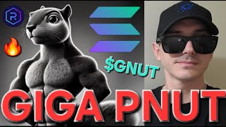 GNUT  GIGA PNUT TOKEN CRYPTO COIN HOW TO BUY GIGACHAD PEANUT SQUIRREL MEMECOIN GNUT SOLANA RAYDIUM [upl. by Akcimat]