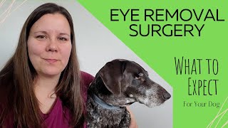 HEALING AFTER EYE SURGERY What to EXPECT [upl. by Diogenes]