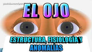 El Ojo  Estructura Fisiología y Anomalías [upl. by Imoyn892]