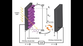 How A Dye Sensitized Solar Cell DSSC Works [upl. by Rastus]