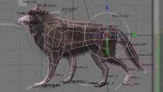 Controllable Wolf  Blender Game Engine  Download [upl. by O'Dell]