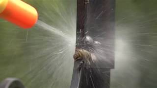 Bug A Salt 20 Slowmotion Wasp Yellow Jacket Kills Table Salt Gun UP CLOSE [upl. by Mellicent692]