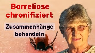 Borreliose Koinfektionen und Cofaktoren testen und behandeln Dr Petra HopfSeidel [upl. by Ahtaela]