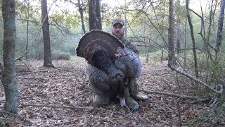 Spring Turkey Hunting  Vocal Hen Costs a Gobbler [upl. by Esertak]