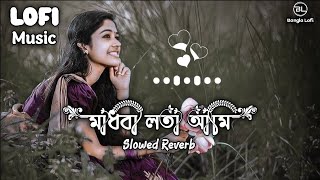 মাধবি লতা আমি  Slowed × Reverb  Madhobi Lota Ami  Lofi  Slowed Lofi Music  Bangla Lofi [upl. by Rutter]