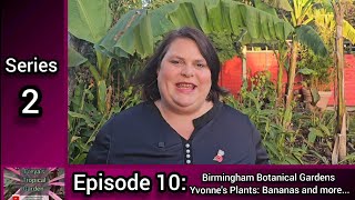 S2 E10 Freyas Tropical Garden Birmingham Botanical Gardens Yvonnes Plants Bananas and more [upl. by Huebner]