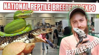 DAYTONA NATIONAL REPTILE BREEDERS EXPO 2024  Reptiles With Podcast S05EP33 [upl. by Mariska106]