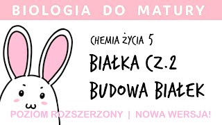 Chemia życia 5  Białka proteiny  budowa białek  biologia do matury liceum [upl. by Alvie]