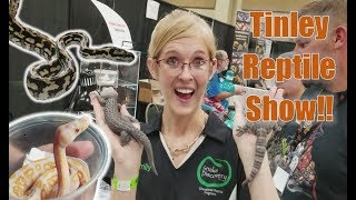 NARBC Tinley Reptile Expo October 2017 [upl. by Thor363]