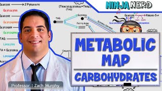 Metabolism  The Metabolic Map Carbohydrates [upl. by Etna905]