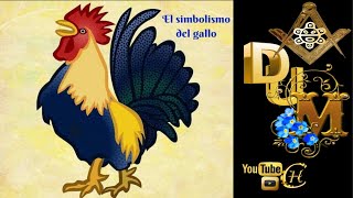 El Simbolismo del Gallo  MASONERIA [upl. by Ulu]