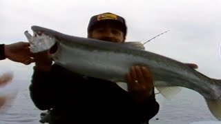 Fishn Canadas First Episode [upl. by Marmion]