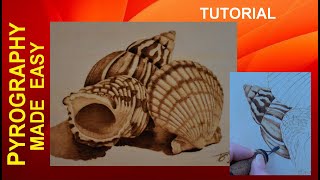 Wood burning  realistic Seashells pyrography tutorial [upl. by Annahavas123]