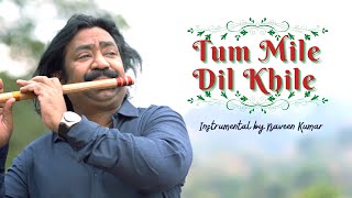 Tum Mile Dil Khile  Instrumental by Naveen Kumar [upl. by Preiser352]