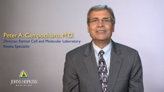 Dr Peter Campochiaro  Retina Specialist [upl. by Evot]