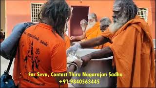 Tiruvannamalai  11 Nov 2024  Annadhanam for 250 Sadhus [upl. by Verina]