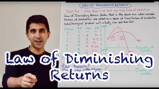 Y2 1 Law of Diminishing Returns [upl. by Scales711]