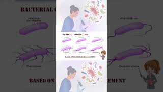 Types of bacteria based on its flagellar arrangements [upl. by Halullat434]