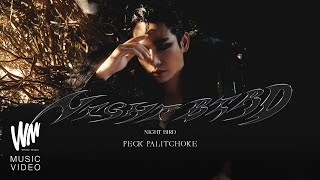 Night Bird  Peck Palitchoke OFFICIAL MV [upl. by Dyke]