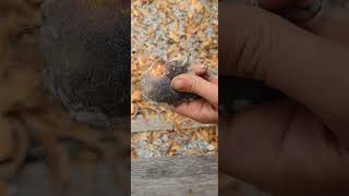 Demonstrating Flint and Steel with steel wool survivaloutdoors bushcraftcamp survivaltools [upl. by Primaveras]