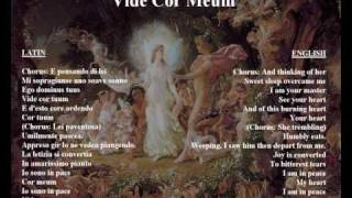 Vide Cor Meum  original libretto in Italian  latin with translation [upl. by Benton]