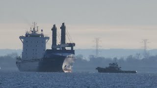 Asian Spirit at Anchor in Hamilton Harbour • December 2 2024 [upl. by Cartwell]