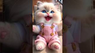 Cute cats 😻 cutebabycatscutecutecatshortsviralcatsloversshortsfeedshortsyoutubeanimalshorts [upl. by Eeima]