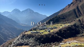 Namche Bazar to Dole trek  Solo Trek to GOKYO amp EVEREST BASE CAMP by CHOLA pass  DAY3  Allarey [upl. by Yeuh]