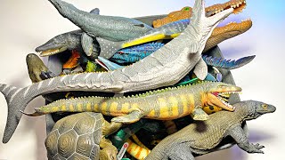 Reptiles amp Prehistoric Reptiles Animals Collection  Mosasaurus Alligator Iguana Cobra Lizard [upl. by Anavoj]