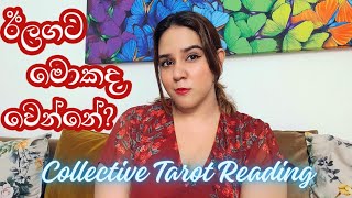 ජීවිතයේ ඊලගට වෙන දේවල් 💘✨️ Whats Coming Next In Your Life 💯 Collective Tarot Reading Sinhala [upl. by Yditsahc]