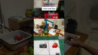 Sorting with a robotic arm using Raspberry Pi Python and OpenCV raspberrypi python [upl. by Yelnoc]