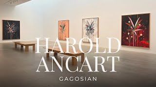 Exhibition Walkthrough Harold Ancart at Gagosian  ArtAsForm [upl. by Leif]