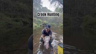 Did some creek fishing this week fishing freshwaterfish [upl. by Enairda]