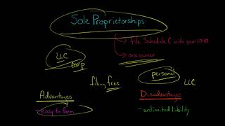 Sole Proprietorships  Advantages and Disadvantages [upl. by Adnilrev]