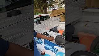 Solutions pest and lawn spray rig review music hiphop splashpro spray pestcontrol verobeach [upl. by Croteau148]