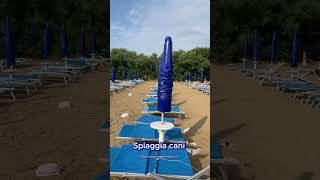 Camping Villaggio San Francesco Caorle  Campeggi dog friendly  Campeggi per famiglie  Camperisti [upl. by Timus357]