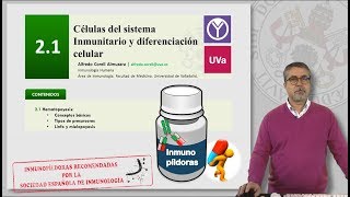 21 CÉLULAS DEL SISTEMA INMUNITARIO Y DIFERENCIACIÓN CELULAR [upl. by Imuya]