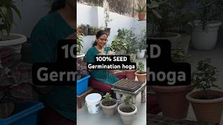 How to grow chrysanthemum and calendula flower from seeds organicgardening shorts [upl. by Anilat]