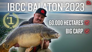 The WORLD BIGGEST Carp Competition  Team Trakker  IBCC 2023 BALATON [upl. by Levon]