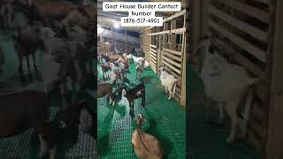 Goat House 🐐🏠 goathouse farm goatlandfarms [upl. by Sergius]