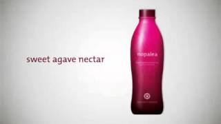 Nopalea  Health Benefits [upl. by Bollinger]