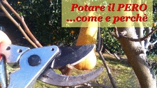 POTARE IL PERO [upl. by Ettedranreb601]